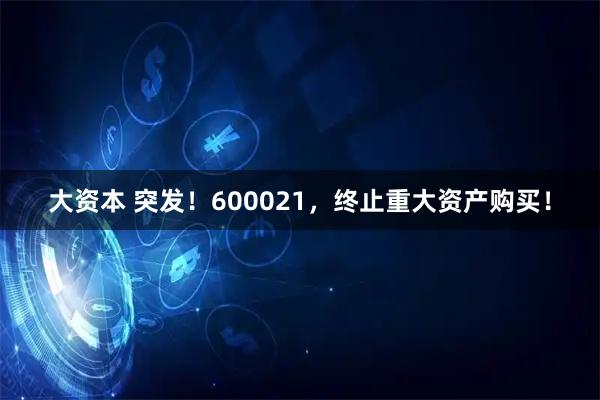 大资本 突发！600021，终止重大资产购买！